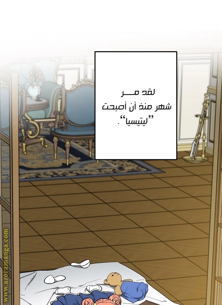 الصفحة 31