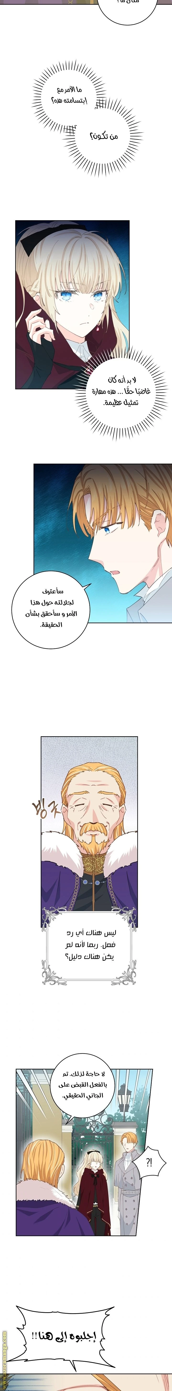 الصفحة 14