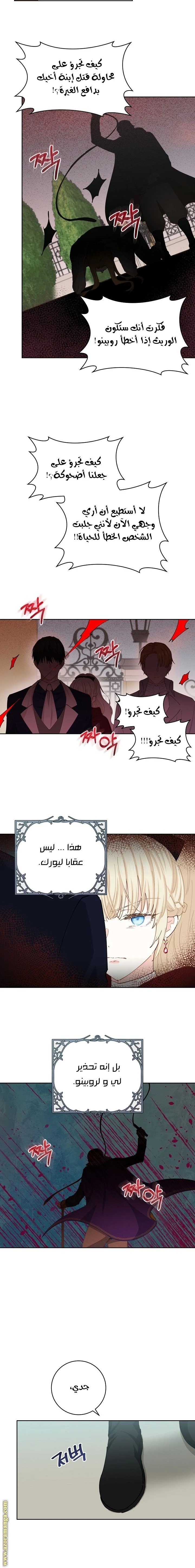 الصفحة 17