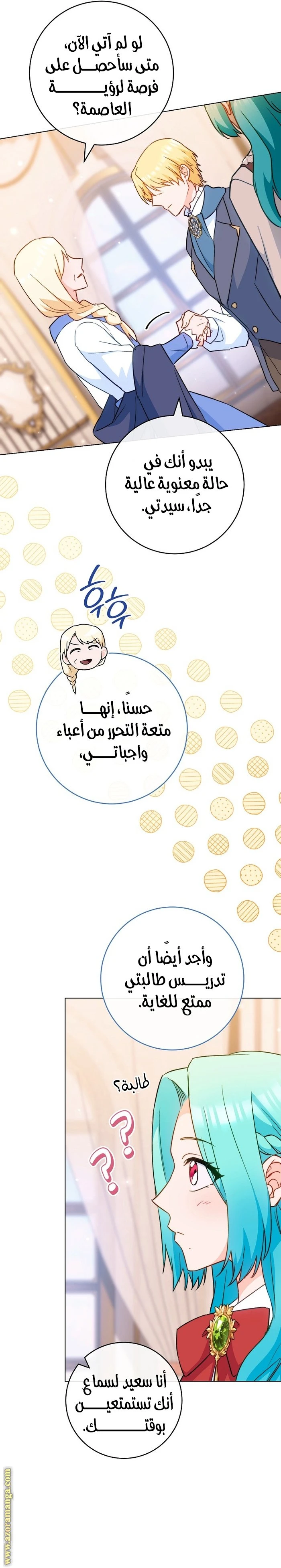 الصفحة 17