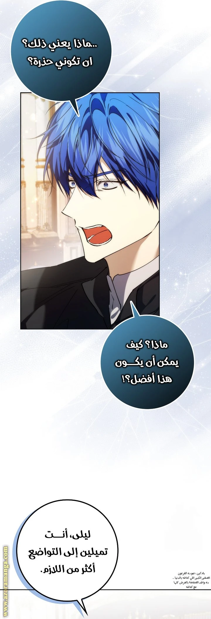 الصفحة 29
