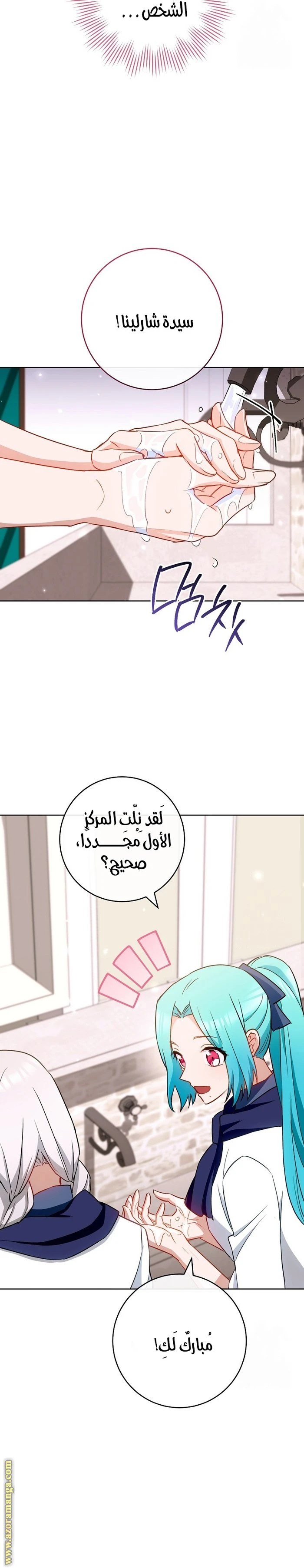 الصفحة 27