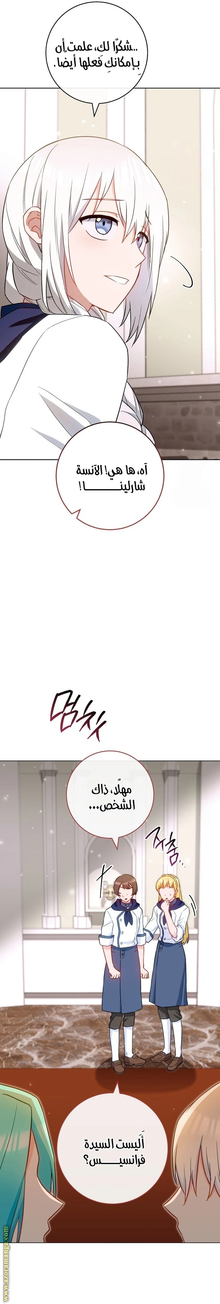 الصفحة 28