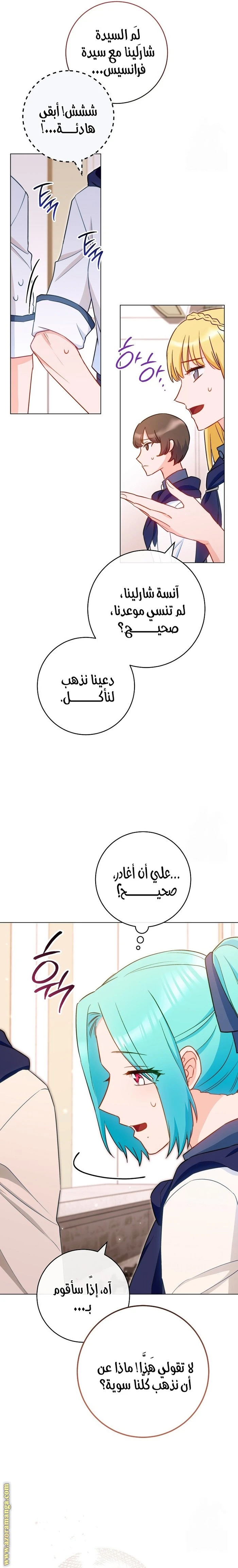 الصفحة 29