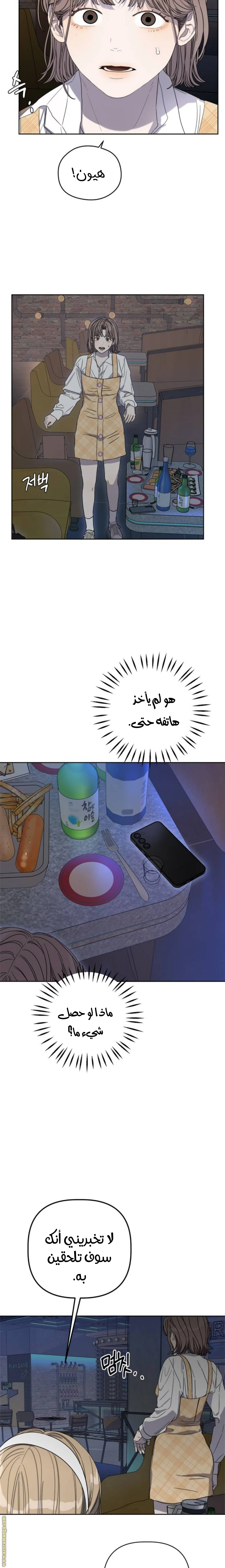 الصفحة 17