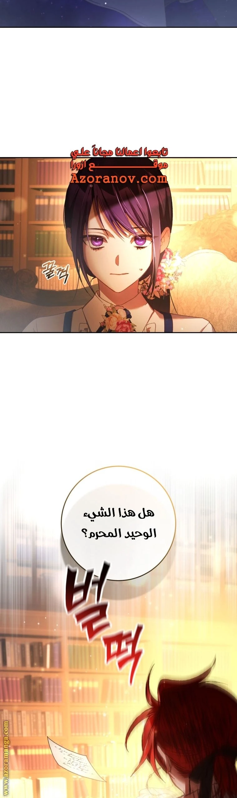 الصفحة 41