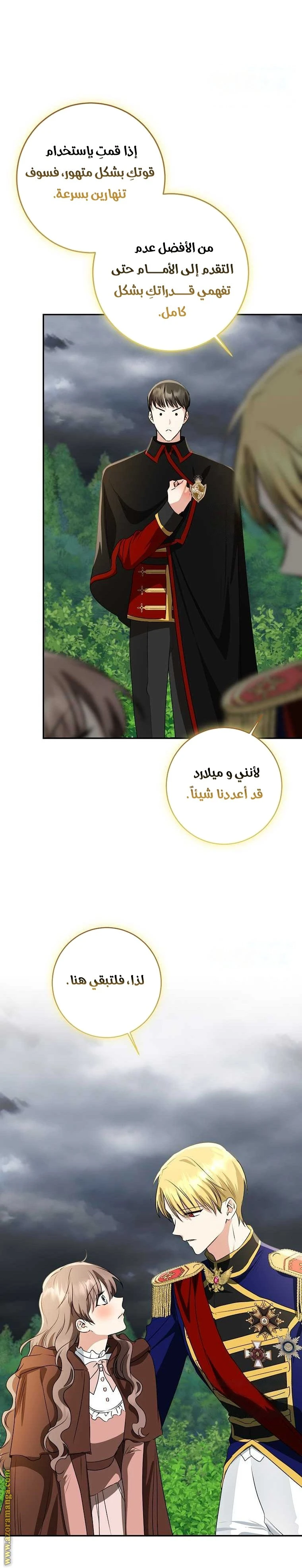 الصفحة 13