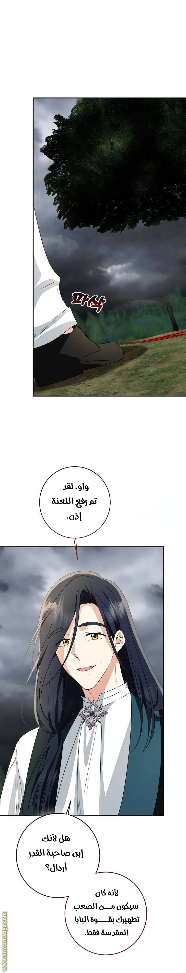 الصفحة 15