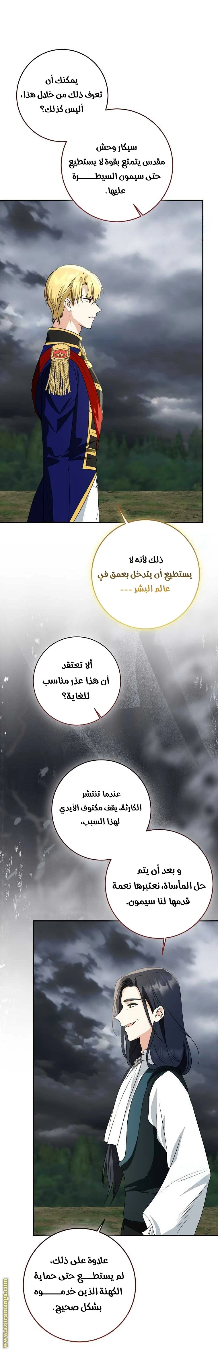الصفحة 17