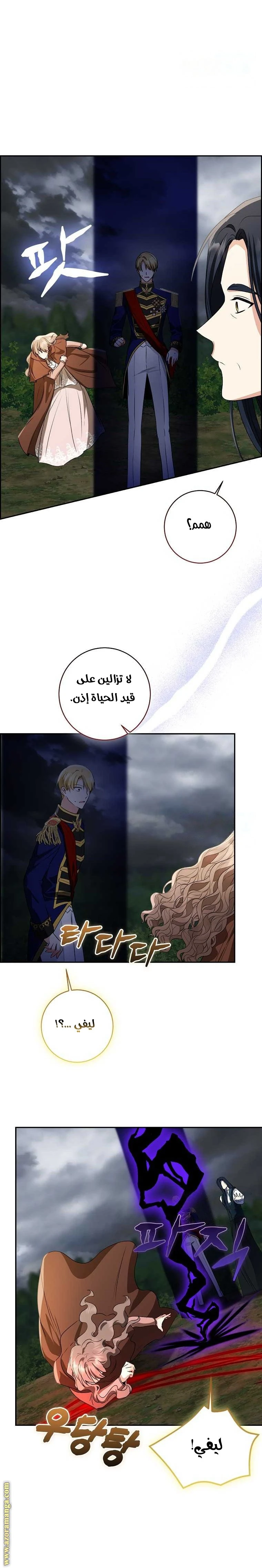الصفحة 35