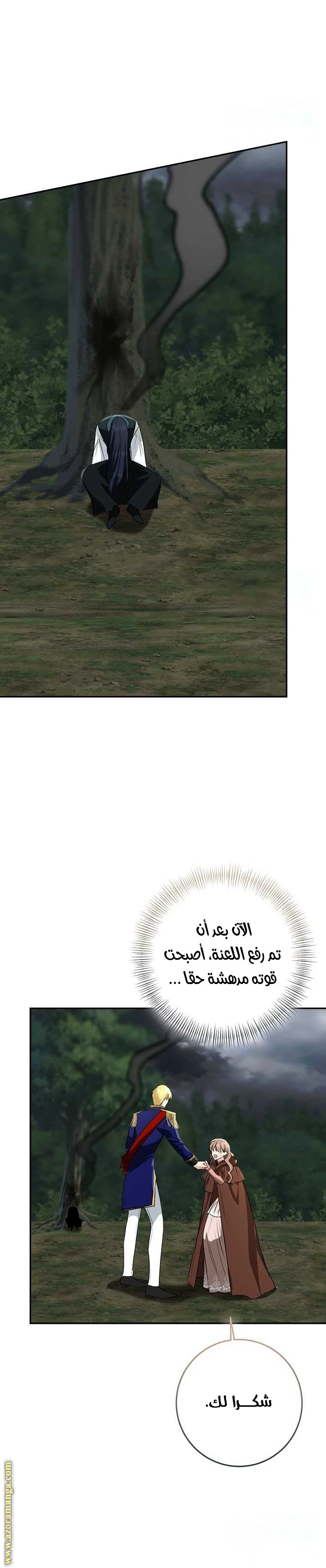 الصفحة 41