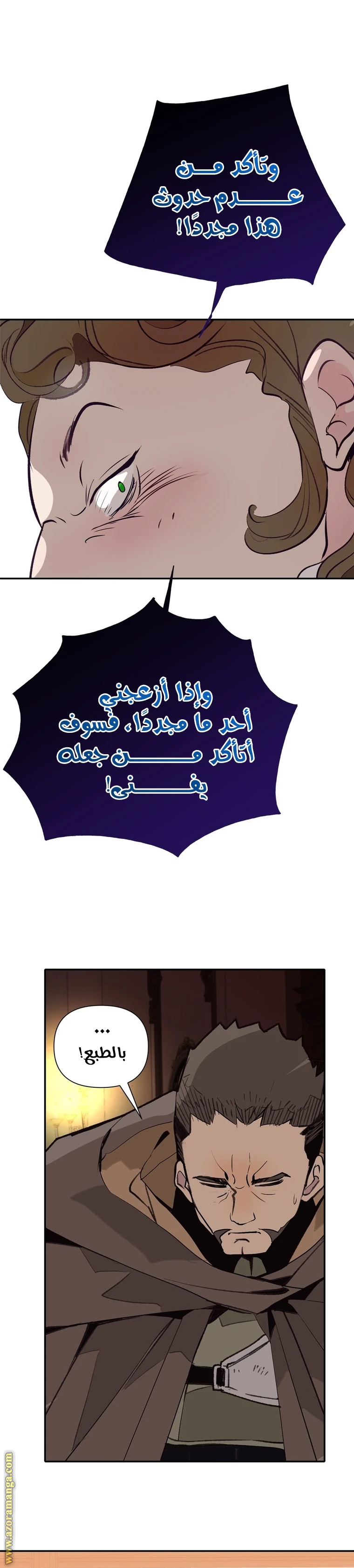 الصفحة 26