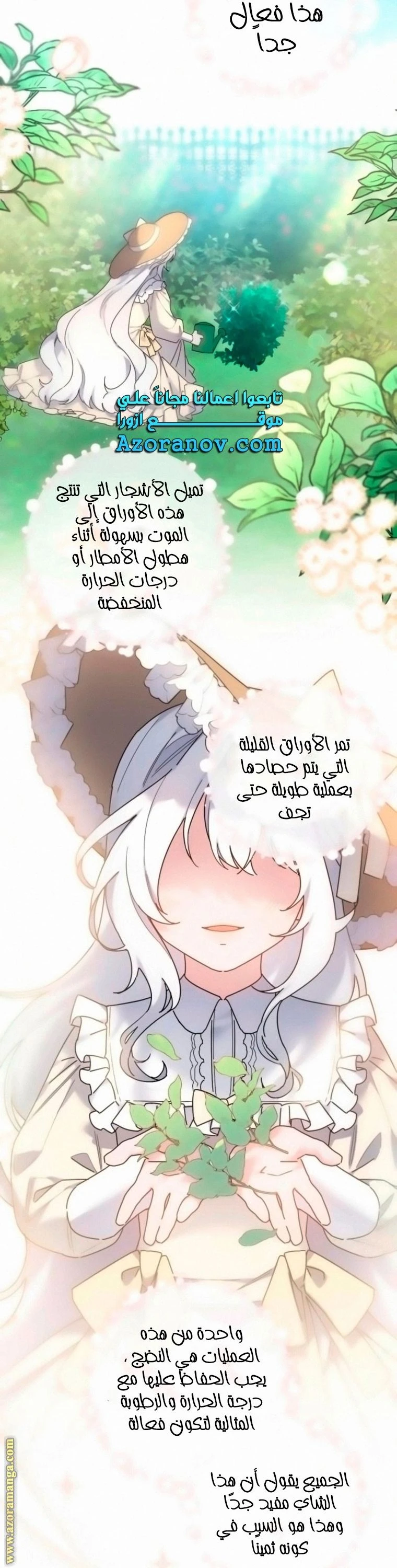 الصفحة 15