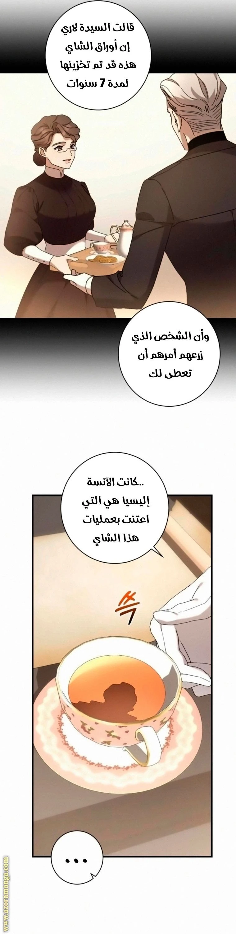 الصفحة 17