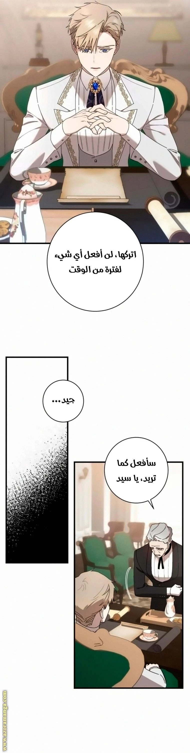الصفحة 25