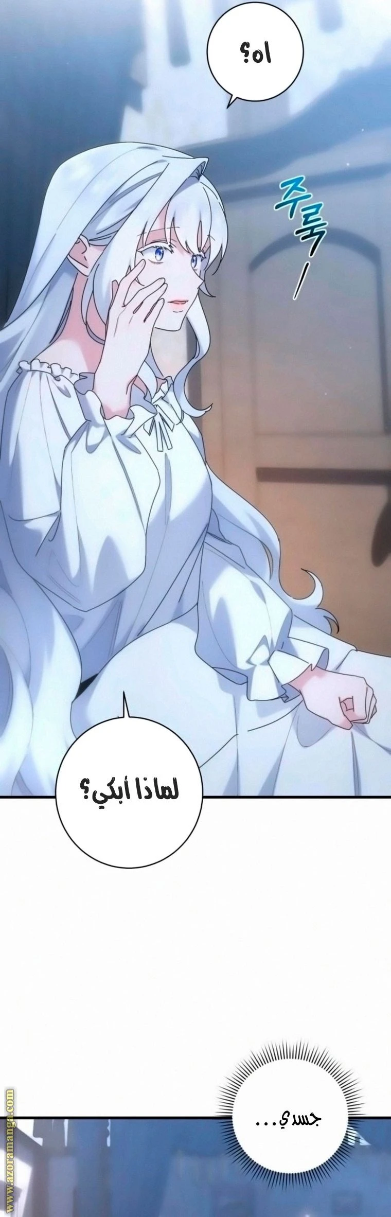 الصفحة 30