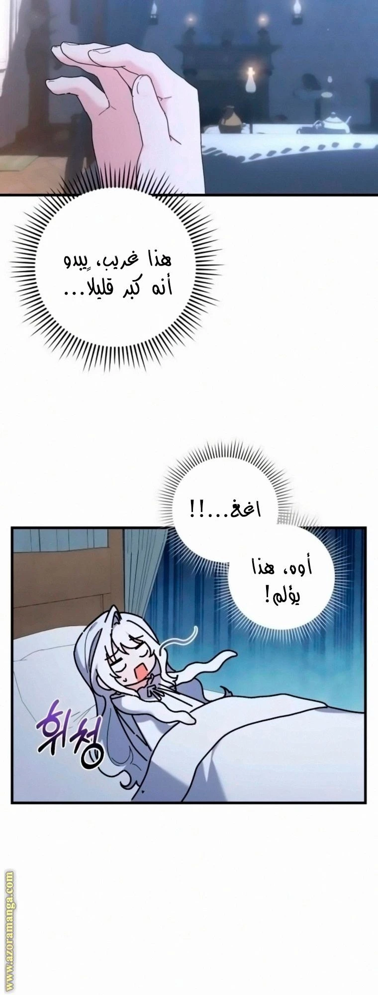 الصفحة 31