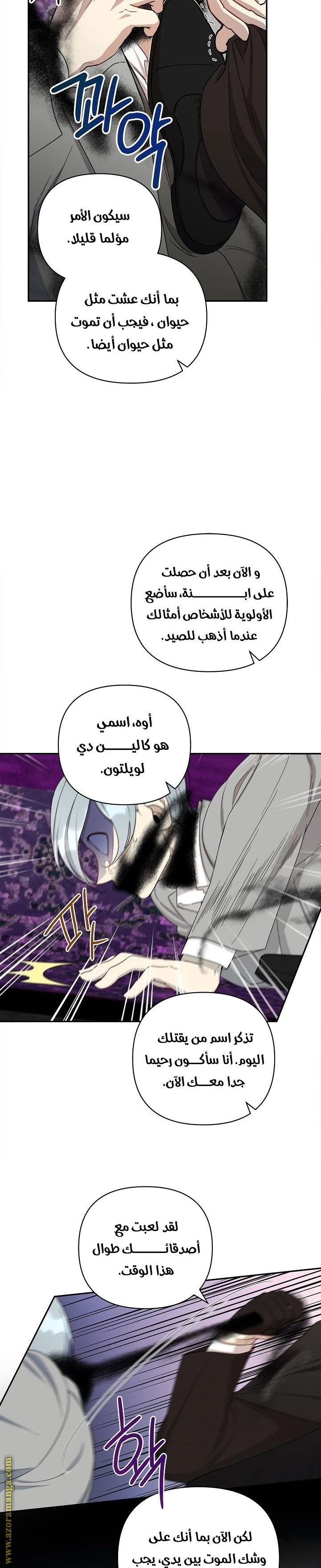 الصفحة 13
