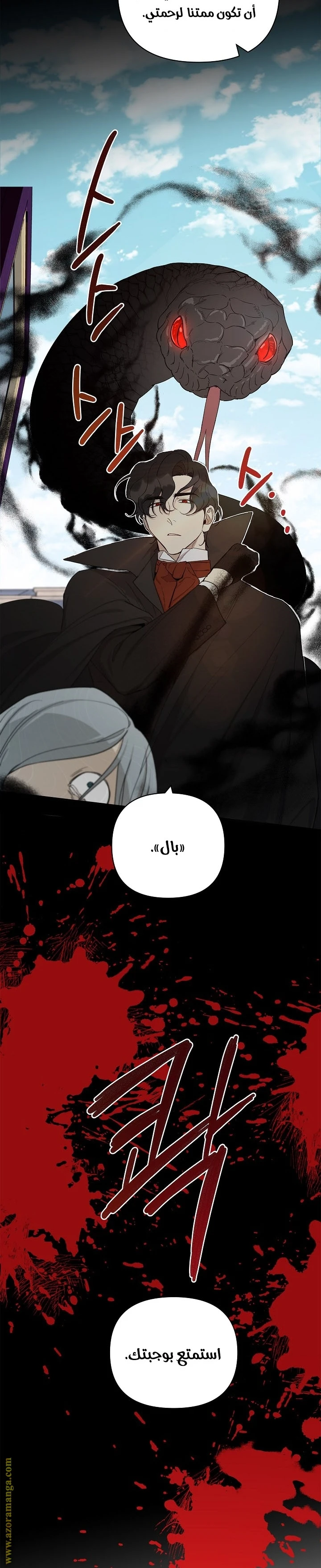 الصفحة 14