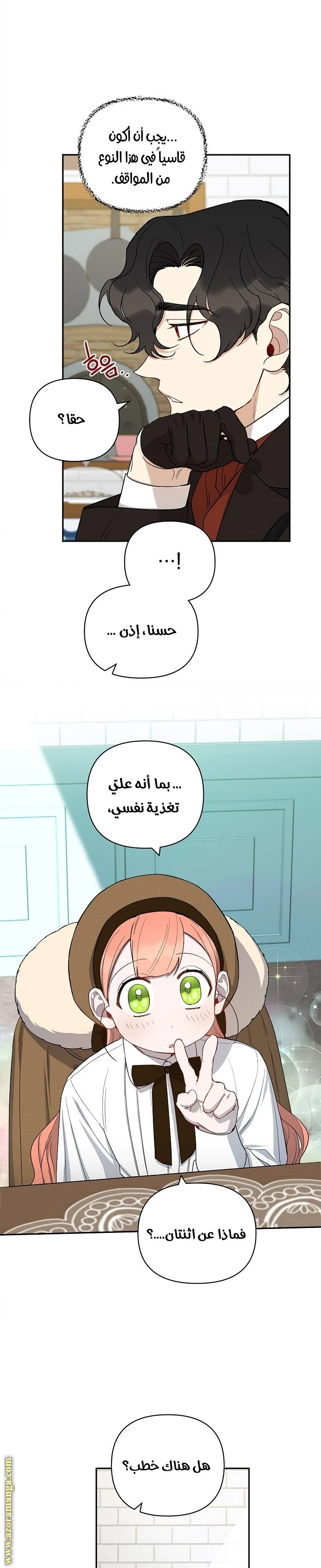 الصفحة 17