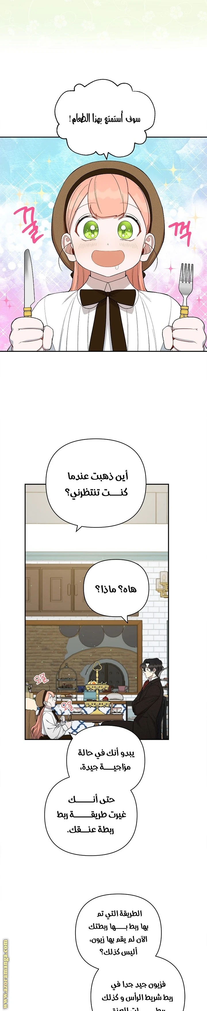 الصفحة 19