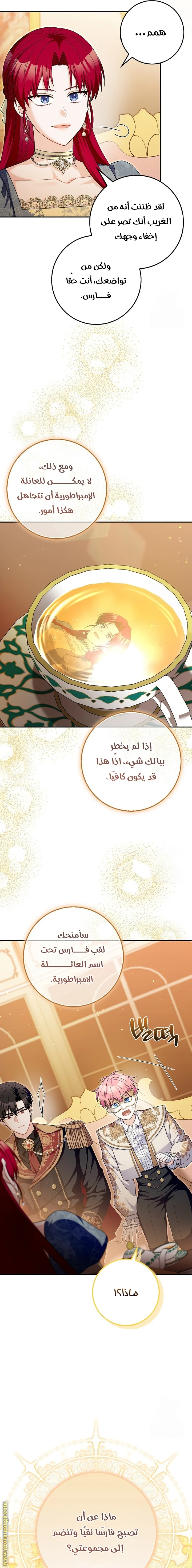 الصفحة 5