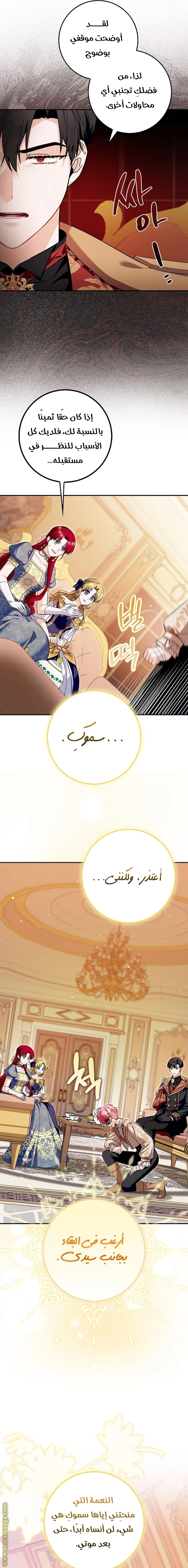 الصفحة 13