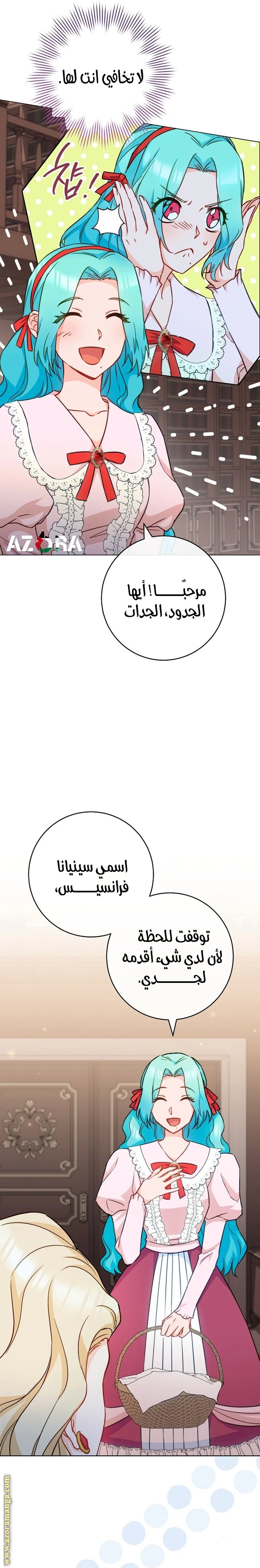 الصفحة 14