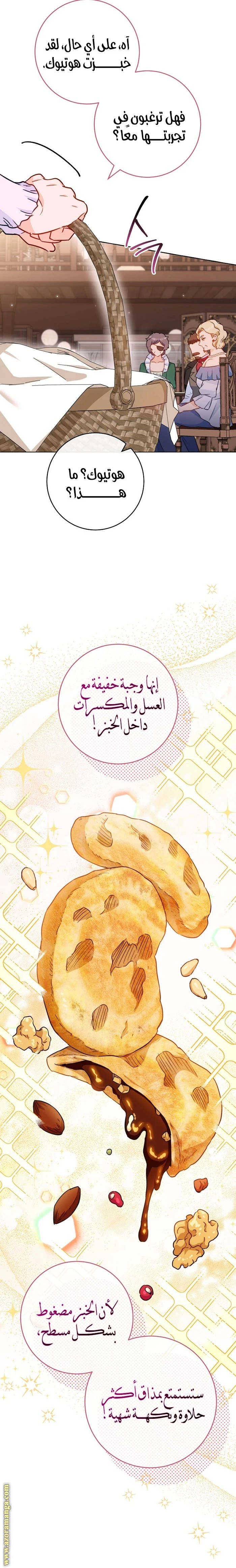 الصفحة 17