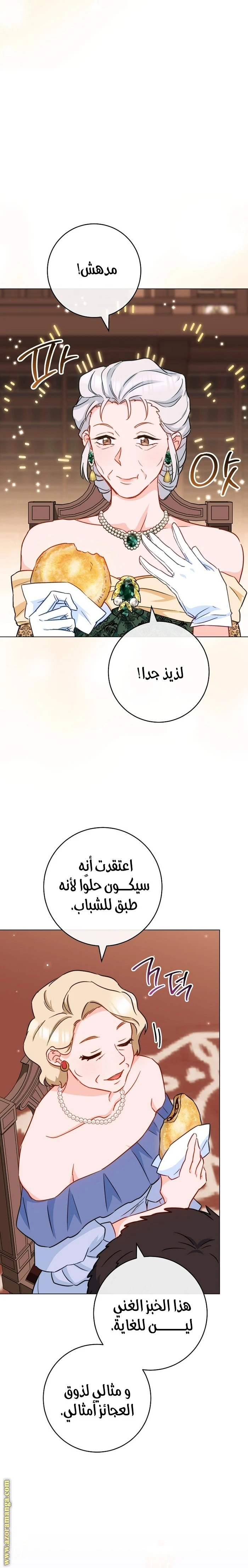 الصفحة 19