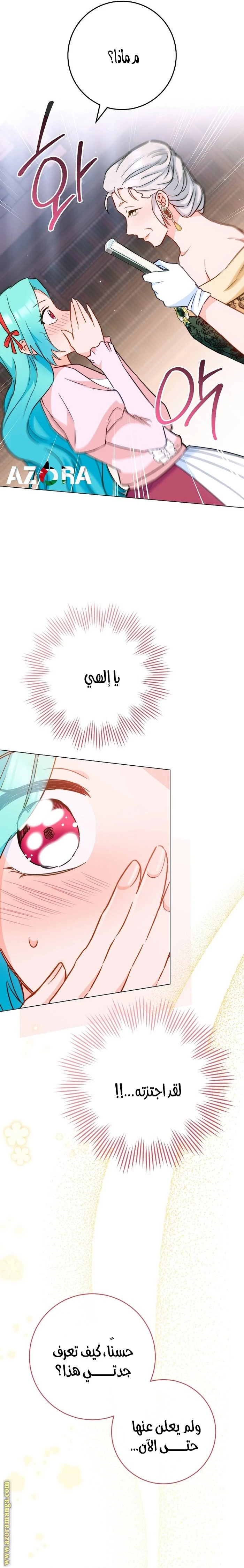 الصفحة 28
