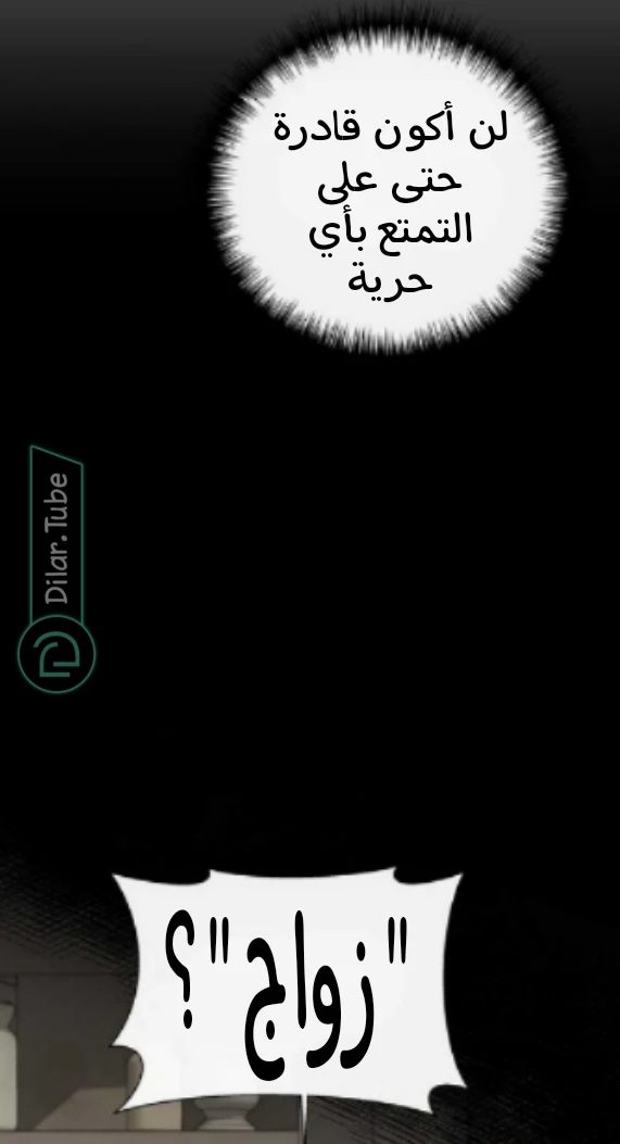 الصفحة 20