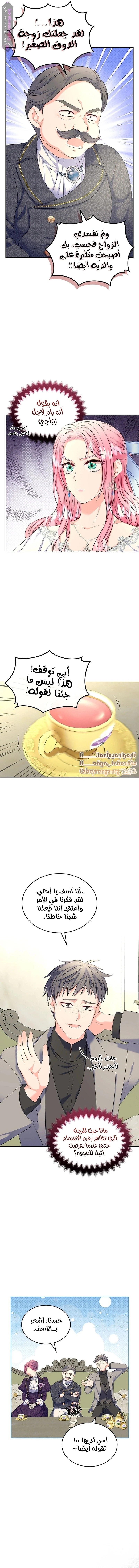 الصفحة 11