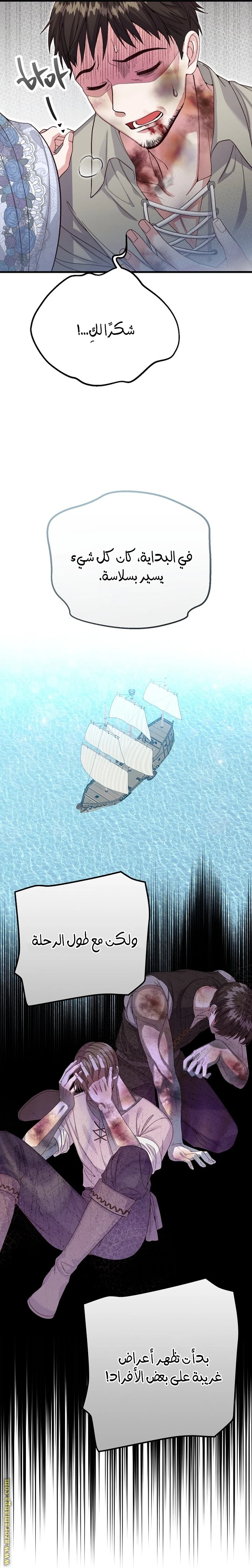 الصفحة 13