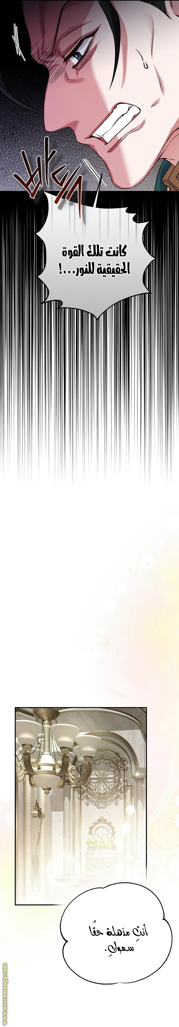 الصفحة 27