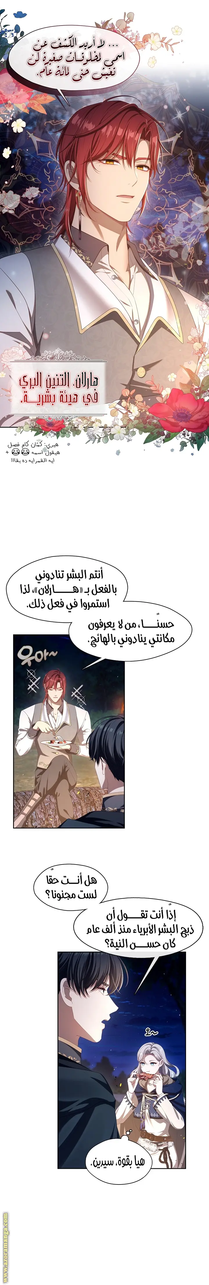 الصفحة 16