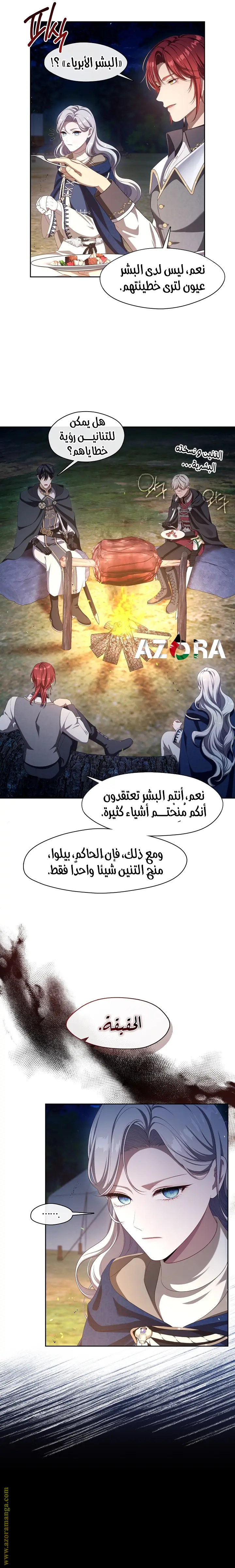 الصفحة 17