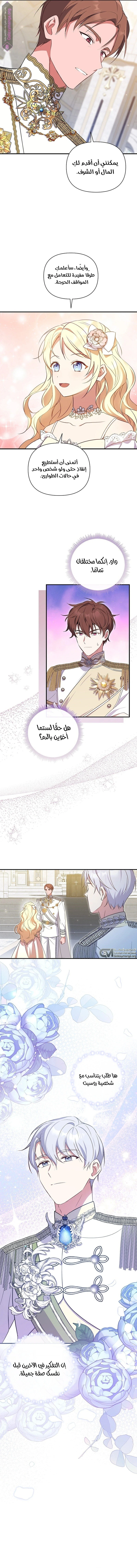 الصفحة 12