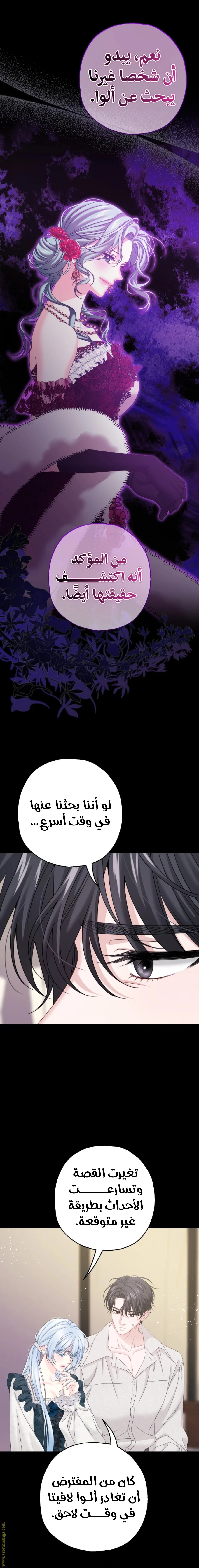 الصفحة 17