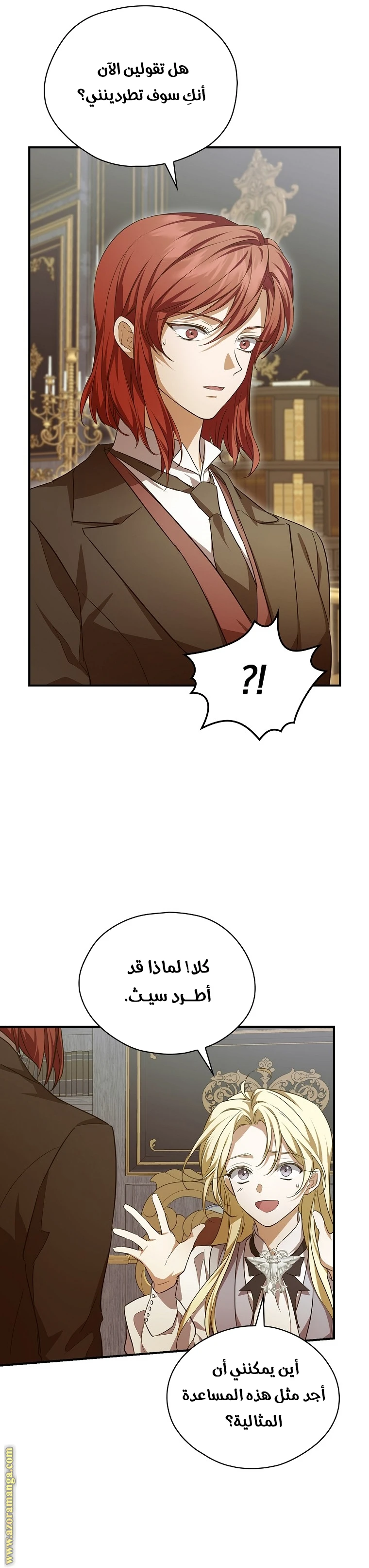الصفحة 17