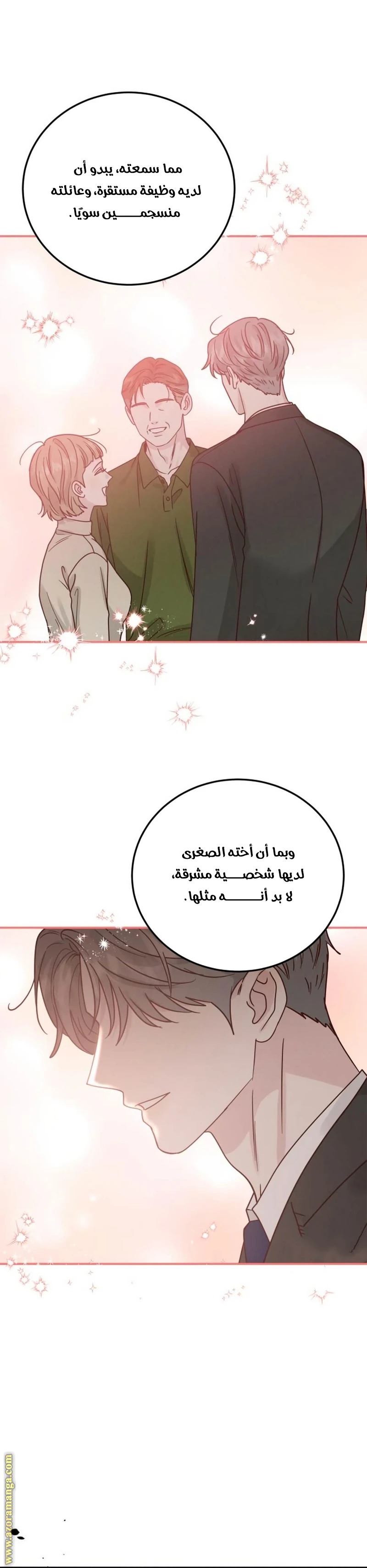 الصفحة 13