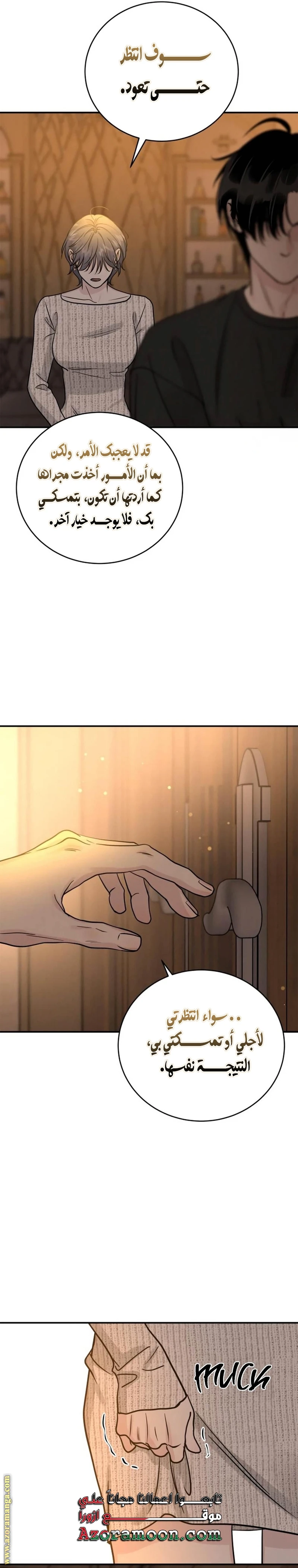 الصفحة 17