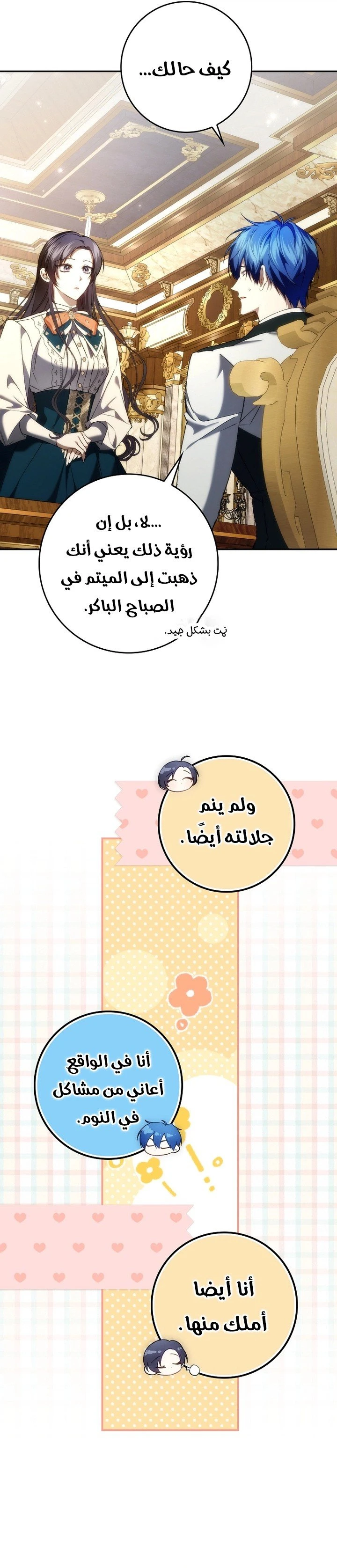 الصفحة 17