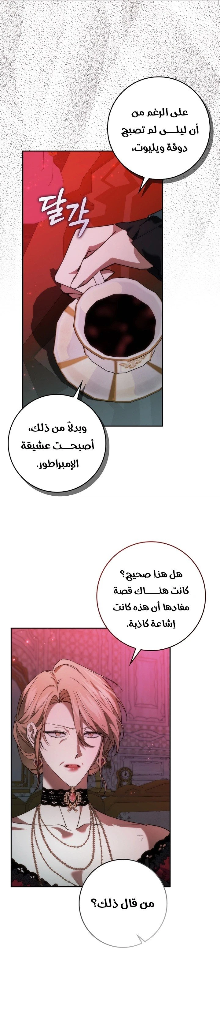 الصفحة 25
