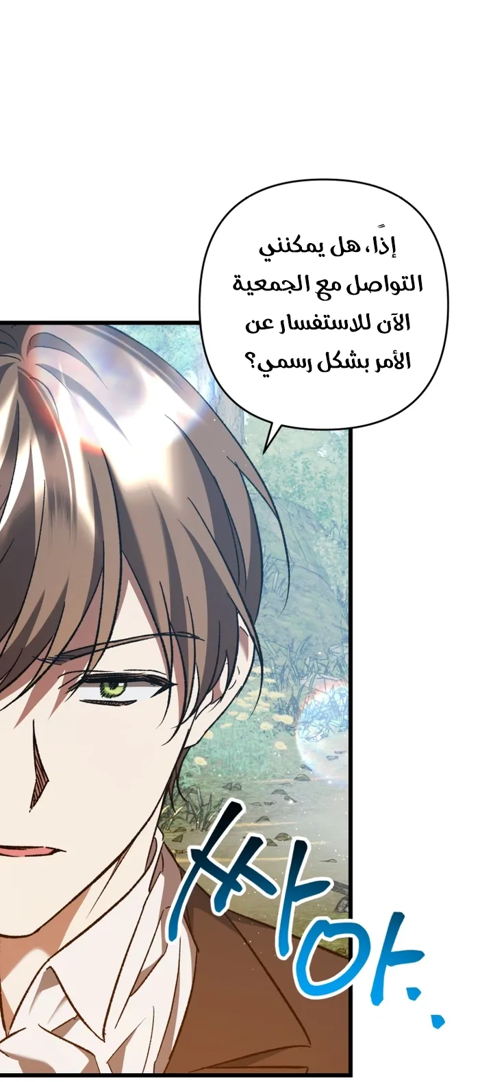 الصفحة 27