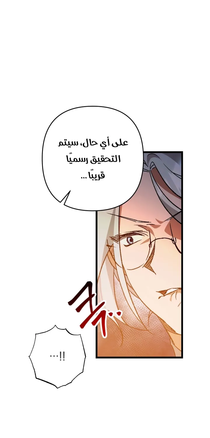 الصفحة 29
