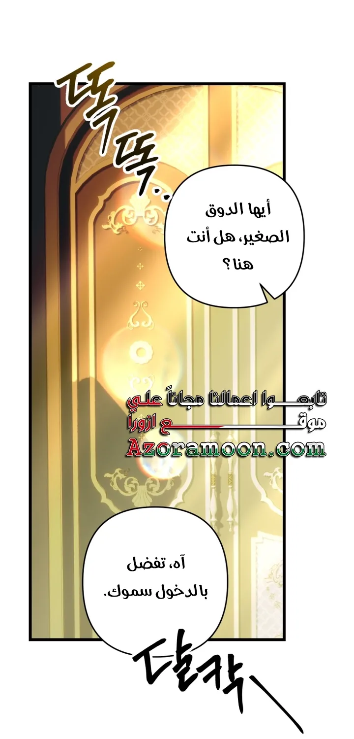 الصفحة 51