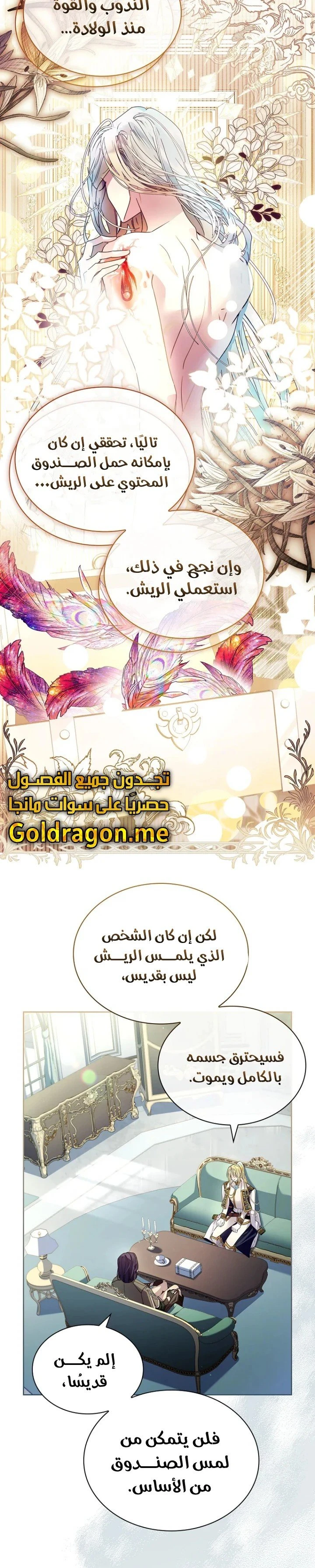 الصفحة 3