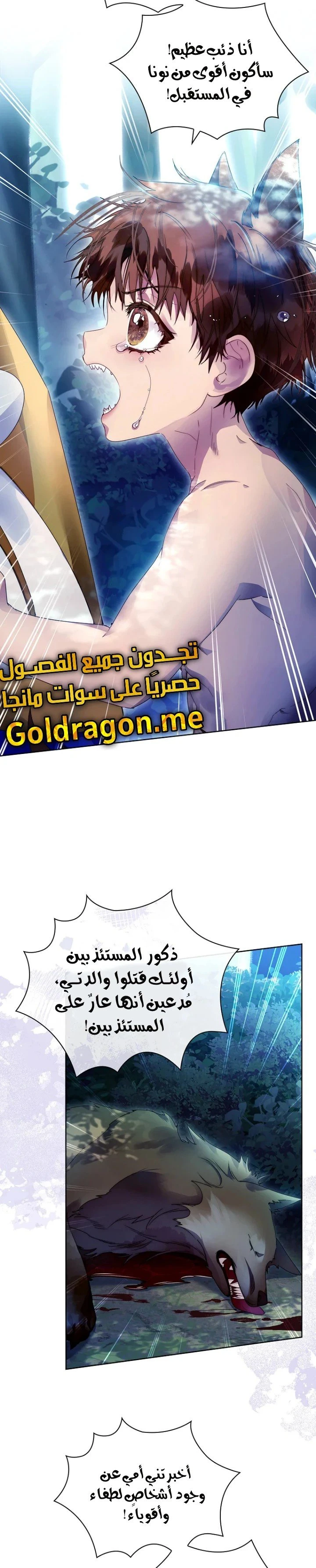 الصفحة 20