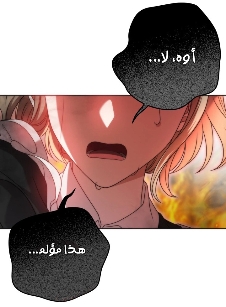 الصفحة 24
